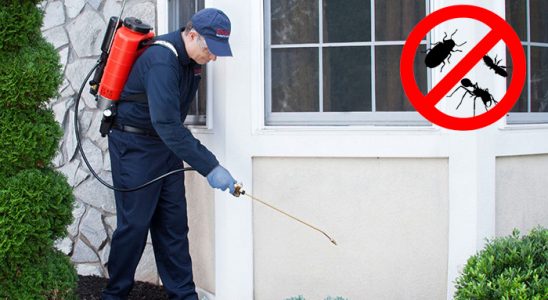 Çankaya Böcek İlaçlama böcek ilaçlama ve haşere kontrolü — ilaclama-tr.com